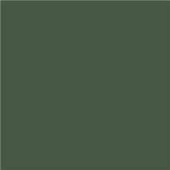 Roscolux 126 - Green Cyc Silk