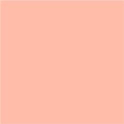 Roscolux 304 - Pale Apricot