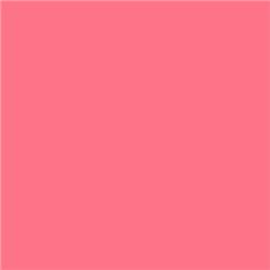 Lee Filters 166 - Pale Red (D)
