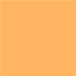 Lee Filters 286 - 1/2 C.T. Orange