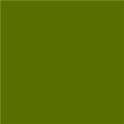 Lee Filters 740 - Aurora Borealis Green