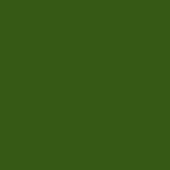 GamColor 650 - Grass Green