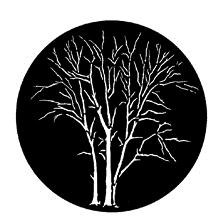 Gam Pattern 528 - Winter Trees B