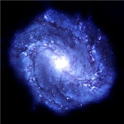 Apollo Pattern CS-0129 - Galaxy Whirl