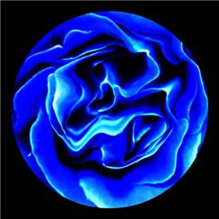 Apollo Pattern CS-0180 Blue Silk Rose