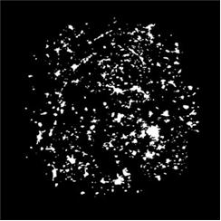 Apollo Pattern 1009 - Breakup Splatter