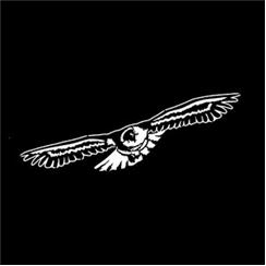 Apollo Pattern 1136 - Soaring Eagle