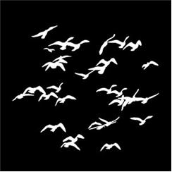Apollo Pattern 1137 - Flock of Birds