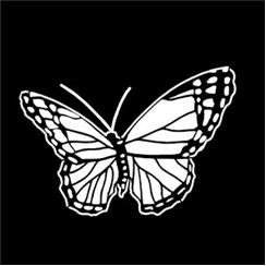 Apollo Pattern 1160 - Butterfly