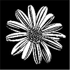 Apollo Pattern 1162 - Simply Daisy