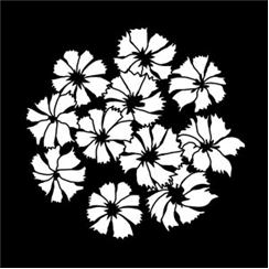 Apollo Pattern 1163 - Tropical Blossoms