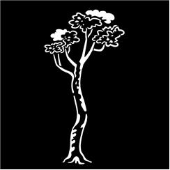 Apollo Pattern 3523 - Tree Maple