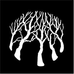 Apollo Pattern 3527 - Trees Oak Forest