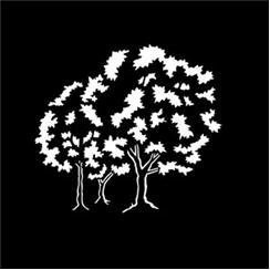 Apollo Pattern 3531 - Trees Natural