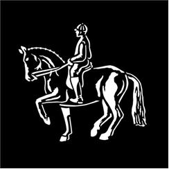 Apollo Pattern 4054 - Horse Dressage