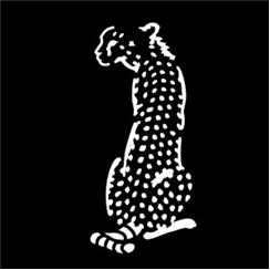 Apollo Pattern 4113 - Africa-Cheetah