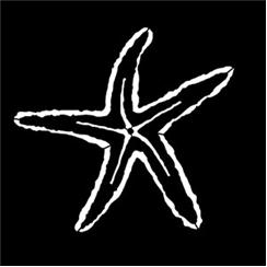 Apollo Pattern 7005 - Sea-Starfish