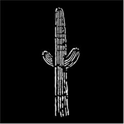 Apollo Pattern 7035 - West Desert Cactus