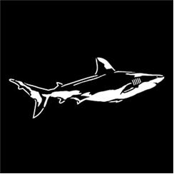 Apollo Pattern 7056 - Sea-Shark