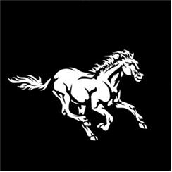 Apollo Pattern 7058 - Wild Horse