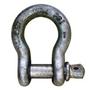 Forged Screw Pin Shackle 1/4"