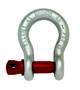 Crosby Screw Pin Shackle 3/16" #G-209