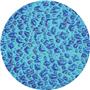 Rosco ColorWaves 3404 - Sparklelite Cyan