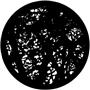 Rosco Pattern 7115 - Dense Branches