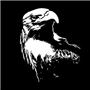 Apollo Pattern 1135 - Bald Eagle