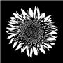 Apollo Pattern 1167 - Sunflower