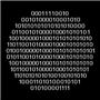 Apollo Pattern 2217 - Binary