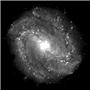 Apollo Pattern SR-0101 - Spiral Galaxy